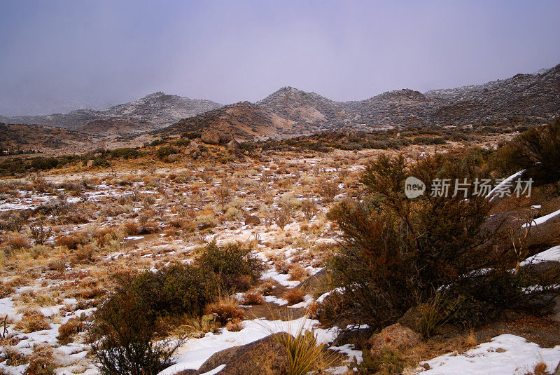 景观冬季高山沙漠雪