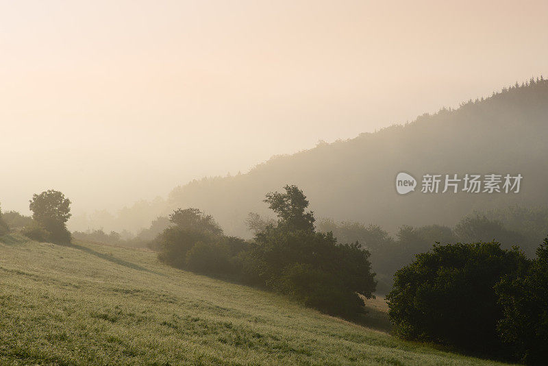 夏末朦胧的山谷