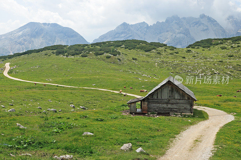 白云石山脉的高山牧场