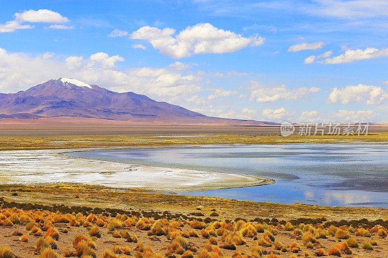 绿色田园般的萨拉尔德塔拉-盐蓝色的湖和盐平原，火山和阿塔卡马沙漠高原，火山景观全景-圣佩德罗阿塔卡马，智利，Bolívia和阿根廷边境