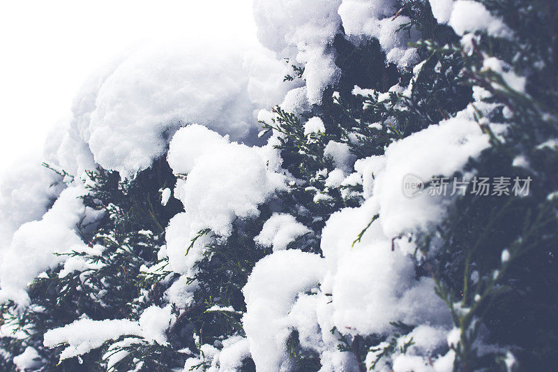 什罗浦郡雪场景