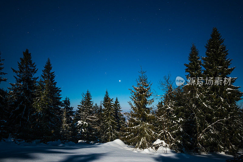 雪山里的夜星