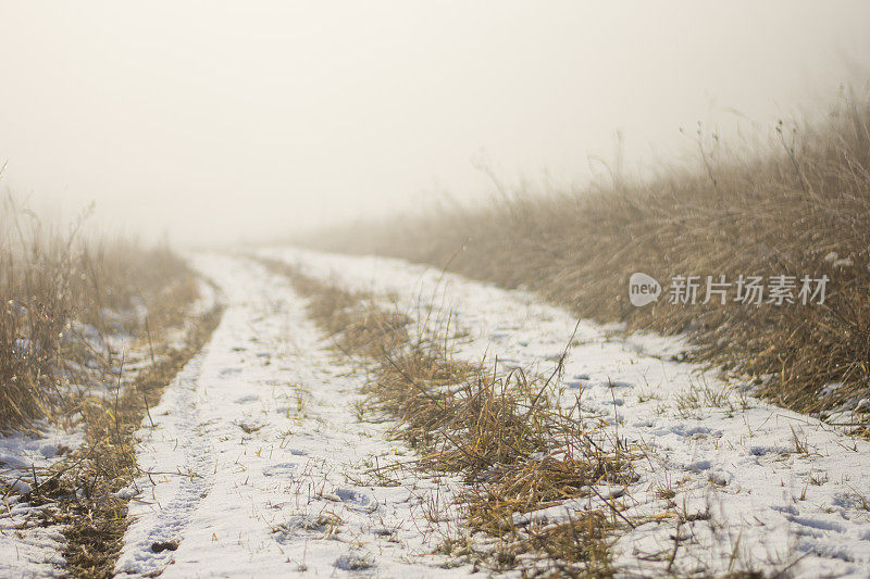 下雪的冬天的风景