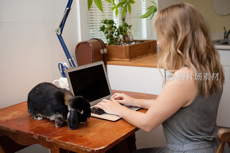 千禧一代宠物主人在笔记本电脑上工作