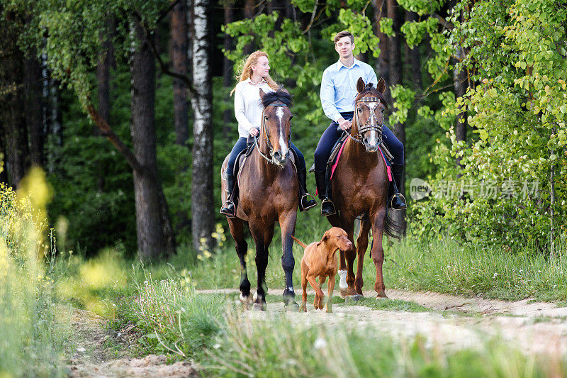 一对快乐的年轻夫妇在夏日的森林里骑马。