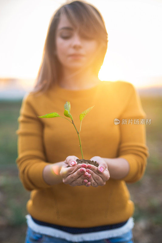 女性双手捧着幼苗