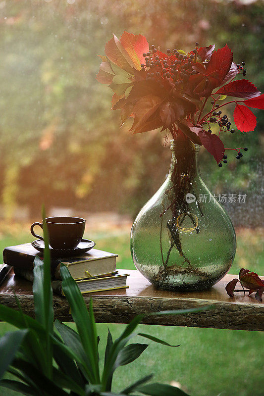 热咖啡和书与秋叶木背景