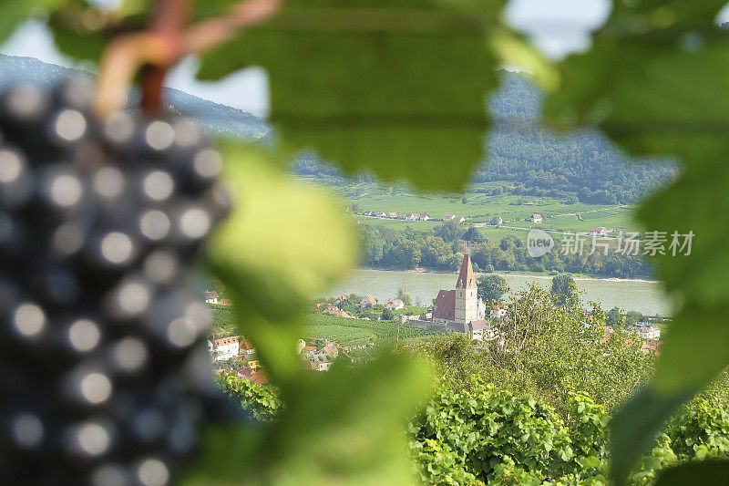 多瑙河(Wachau)附近的著名村庄Weissenkirchen教堂。