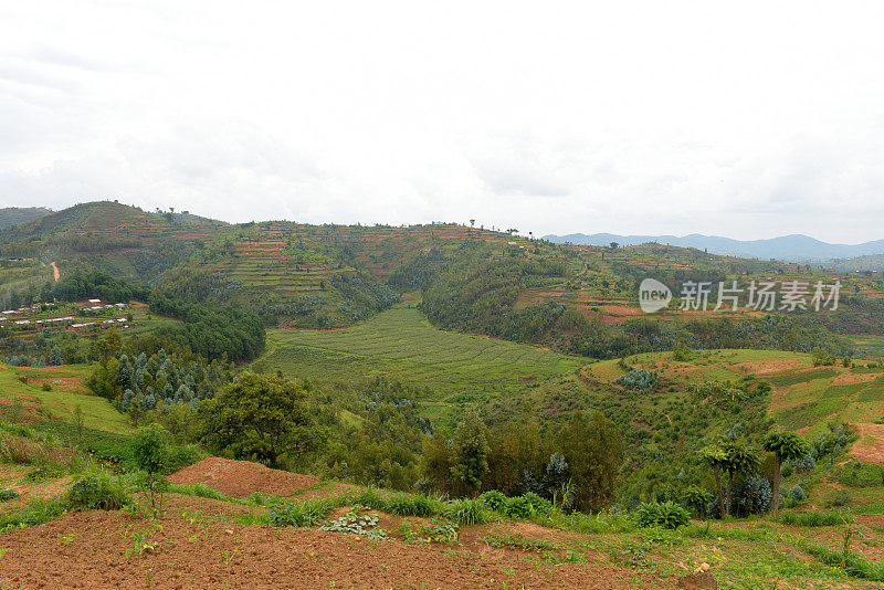 卢旺达基贝霍地区的农村