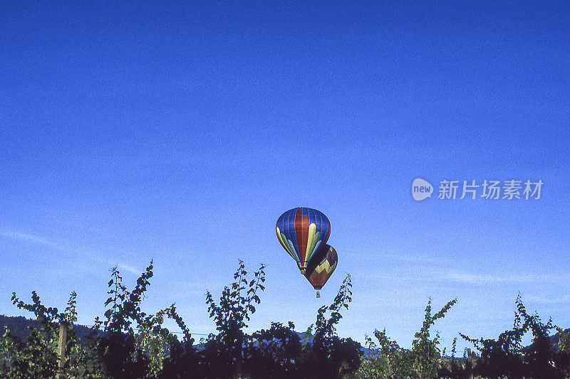 两个热气球在果园上空飞行