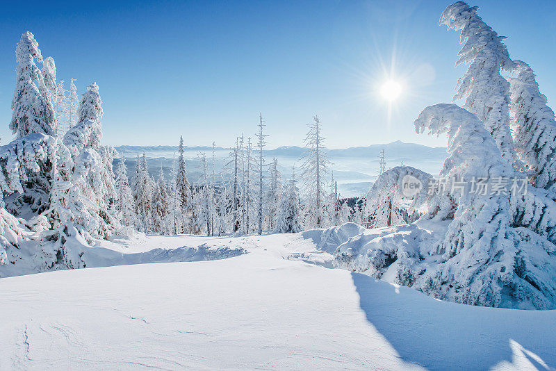 神奇的冬季景观。在霜冻的日子里山上神奇的日落。在假期的前夕。戏剧性的场景。喀尔巴阡、乌克兰、欧洲。