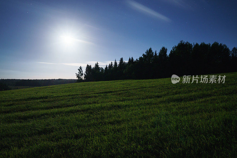 草地和夜晚的森林