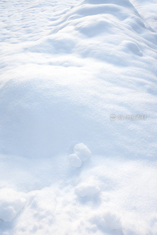 新鲜的雪