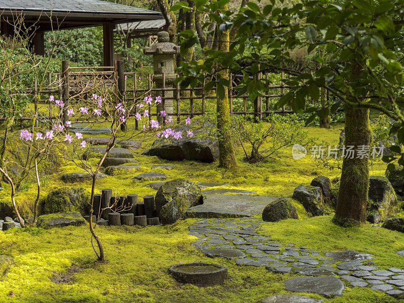 绿苔石台阶树粉红色日本花园俄勒冈