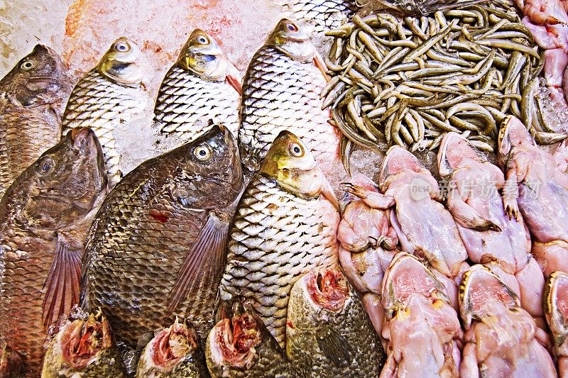 新鲜的鱼和青蛙在曼谷鱼市的冰上。
