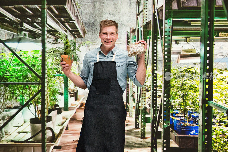 大麻店-一名男性工人正拿着大麻和盆栽植物