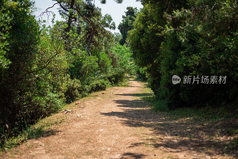 伊斯坦布尔王子群岛，土耳其