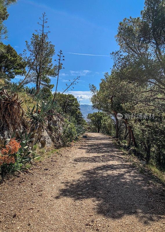 克罗地亚斯普利特的玛扬山徒步旅行路线