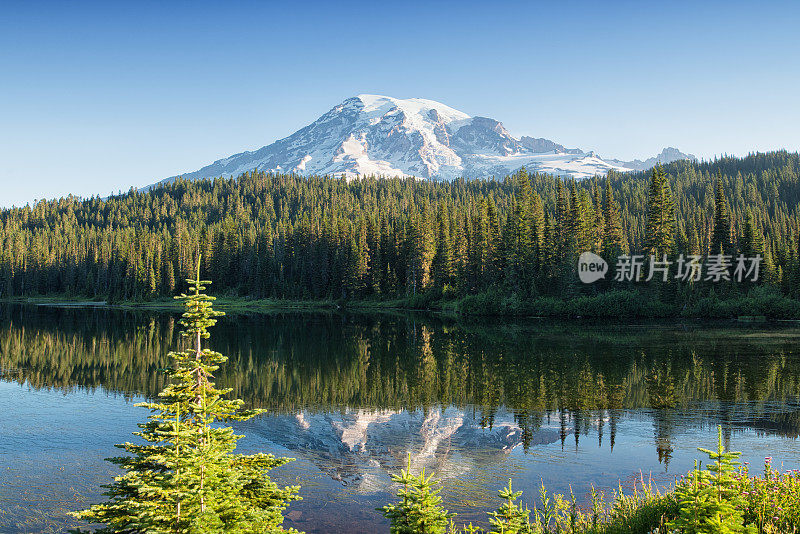 夏天雷尼尔山