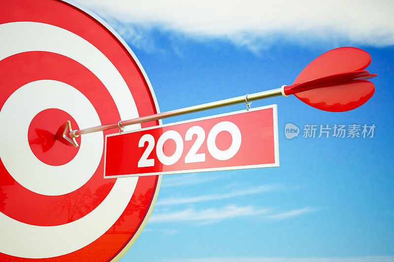 2020年目标计划。飞镖和箭