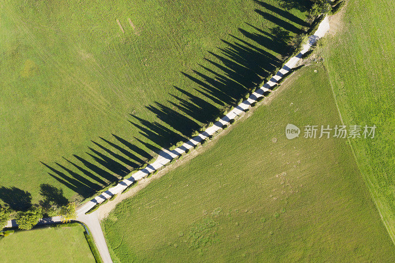 鸟瞰图的乡村道路与柏树，基安蒂地区，托斯卡纳，意大利