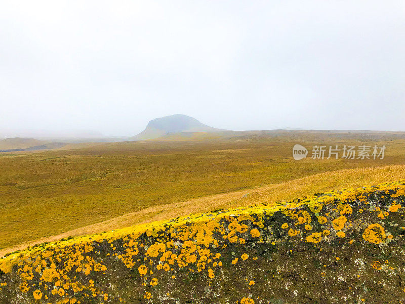 冰岛Hellissandur:秋季火山苔藓景观，石墙