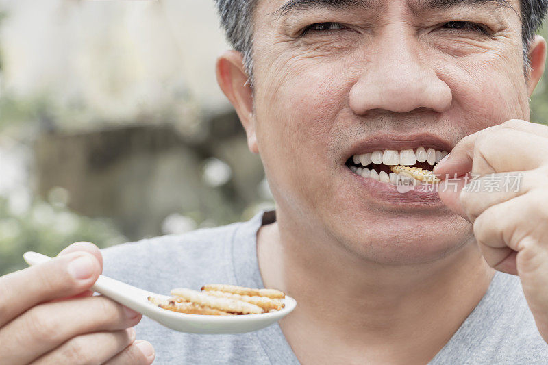 食物昆虫:男子手握菜勺吃竹虫虫或竹虫虫油炸作为食物在白色的背景，是良好的膳食高蛋白食用来源。昆虫学的知识概念。