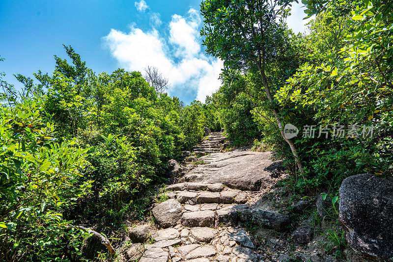 香港森林公园的石阶