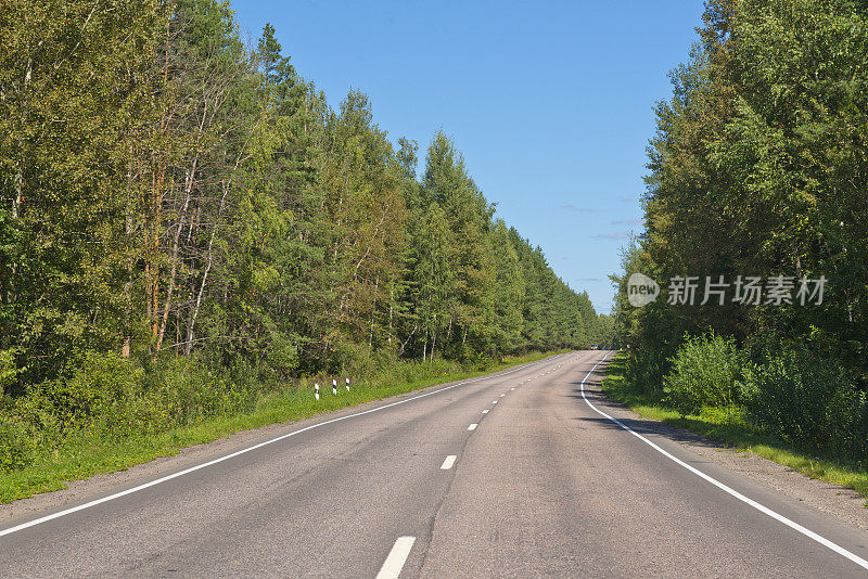 沥青双车道公路穿过森林