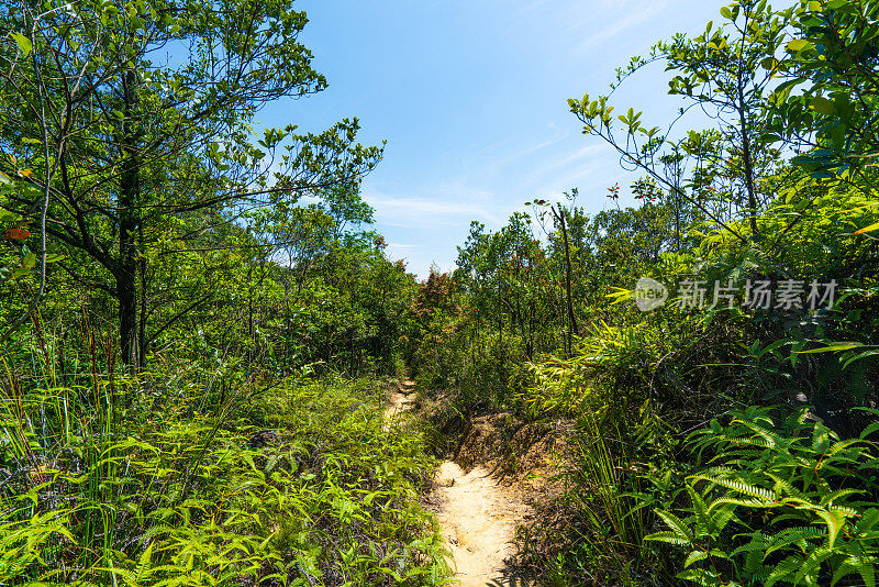 香港森林远足径