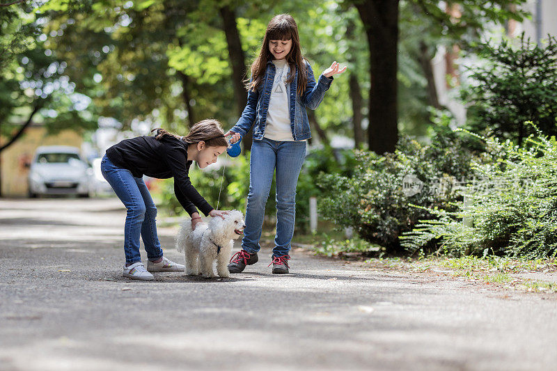 快乐的女孩抚摸着她朋友的小狗