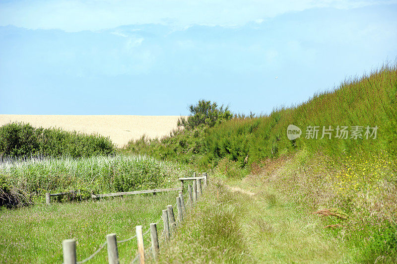 从切希尔海滩到多塞特里奇韦，侏罗纪海岸，多塞特，英国