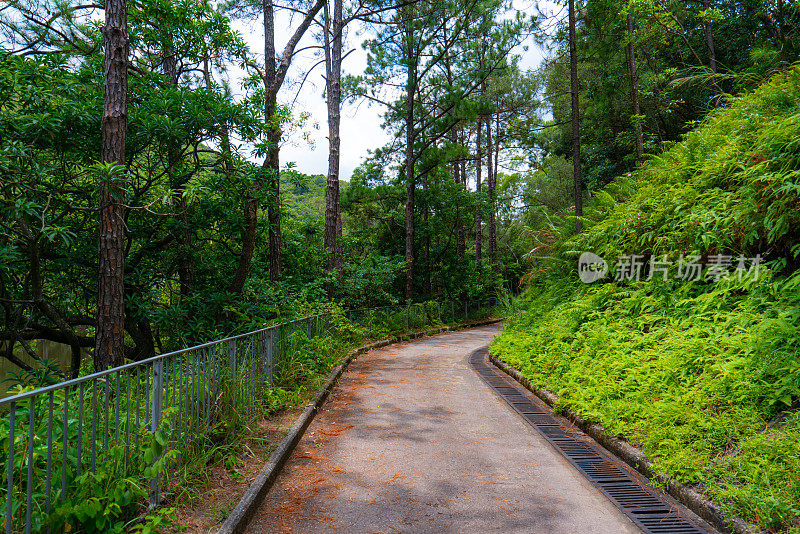 香港森林公园内的小径