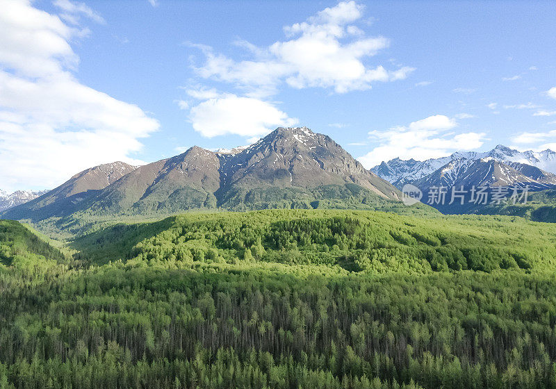 夏天的阿拉斯加山脉