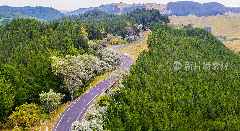 森林中蜿蜒道路