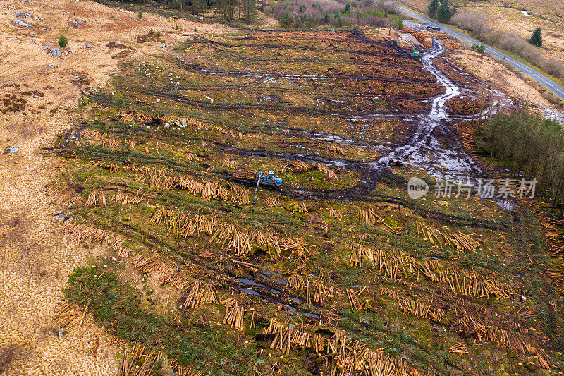 砍伐后收集的木材的无人机视图