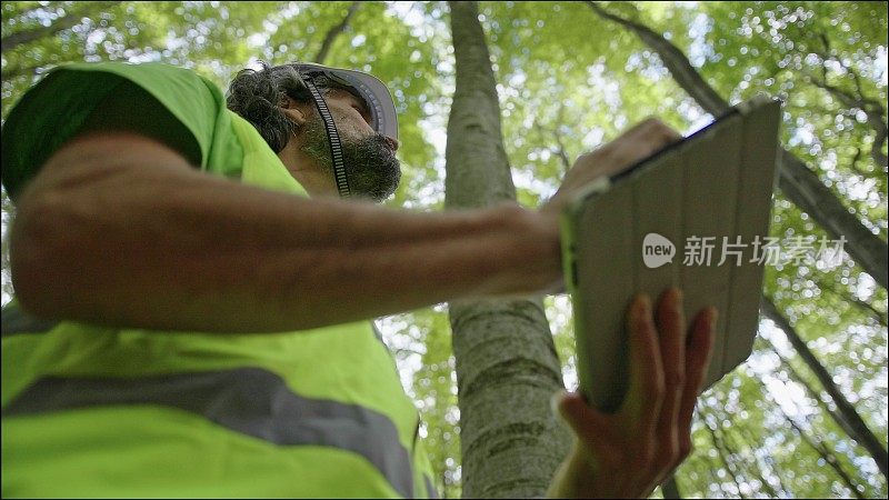 生态学家在野外工作。林务员检查森林中树木的自然状况，并采集样本进行深入研究。生态系统的保护和可持续性。