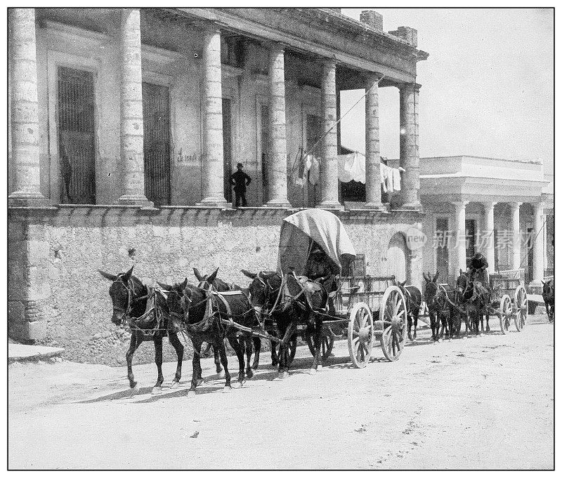 古色古香黑白照片:古巴比那尔德里约热内卢和哈瓦那之间的公路