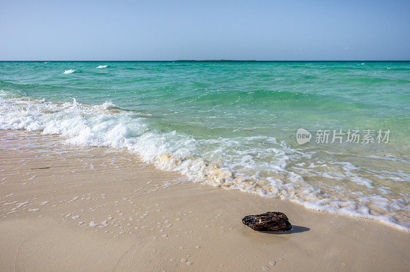 古巴卡约圣玛丽亚的海鸥海滩