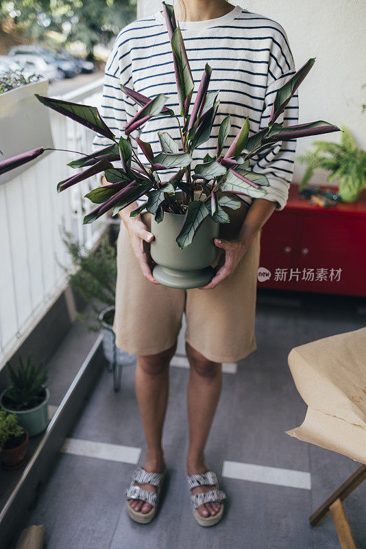 一位匿名的白人女子站在阳台上，手里拿着一盆植物