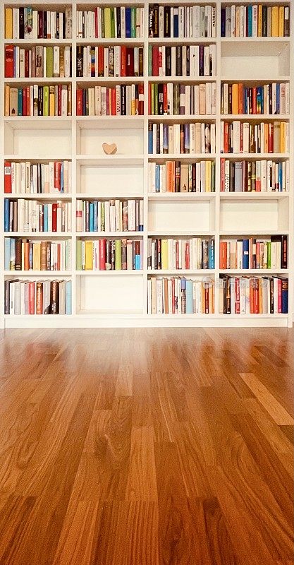 图书馆、书架和拼花地板
