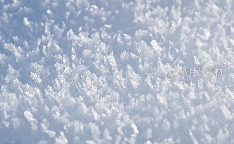 雪晶的特写