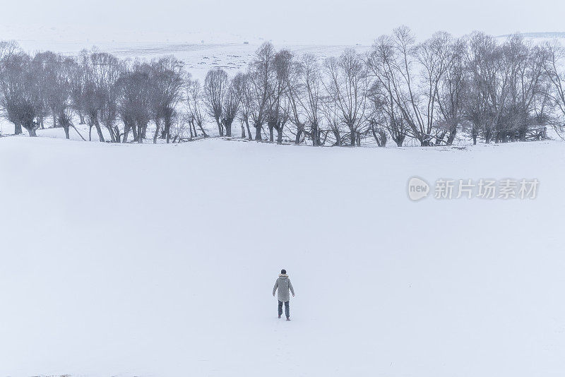 当人类走向倒下的树木和白雪覆盖的平原上可见的树木时的背景