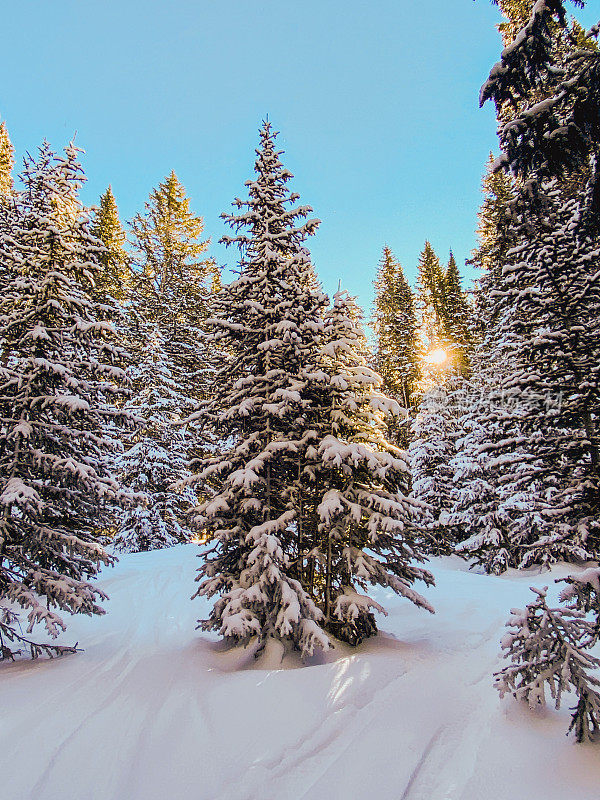 在科罗拉多州的韦尔滑雪