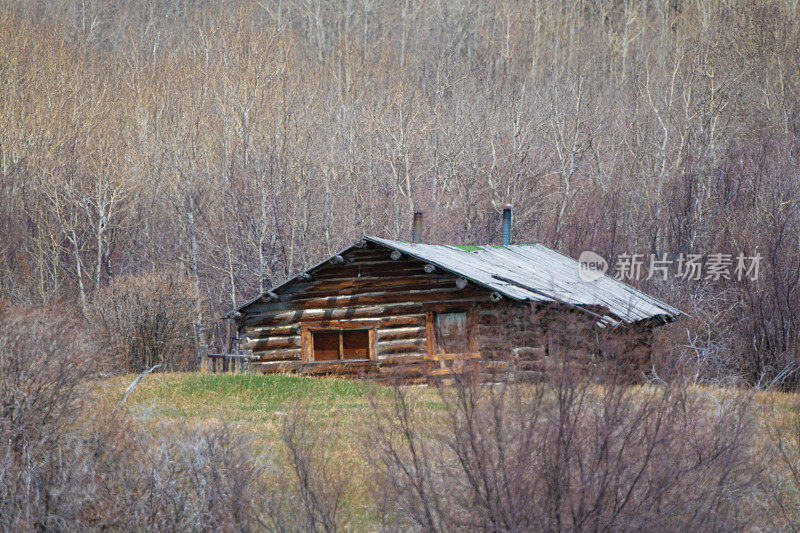在蒙大拿北部牧场上的原始宅基地木屋