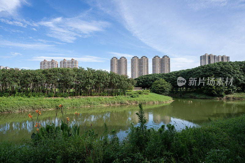 宜居城市的湖泊和绿地