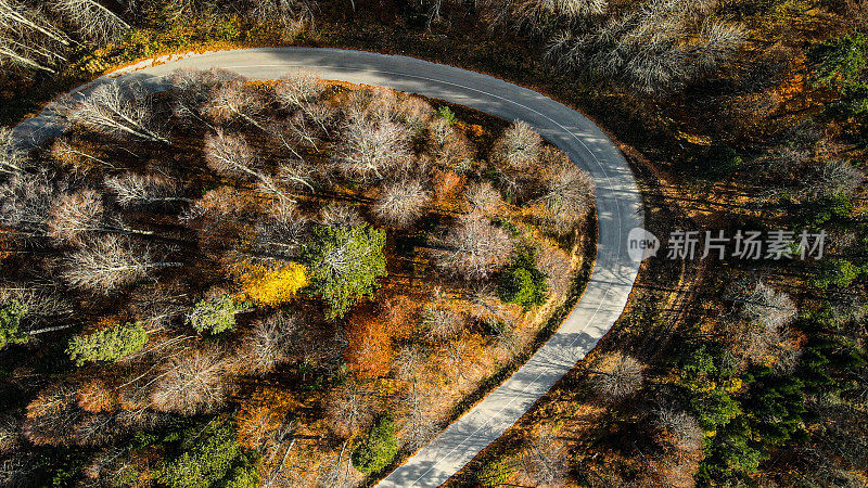 秋天的道路上，秋天的无人机翱翔，秋天的树木，汽车行驶在树木，五颜六色的秋天的树木，慢慢上升的无人机