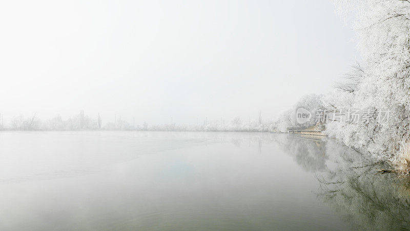 覆盖着霜雪的树枝悬挂在一条河上——雾蒙蒙的冬日风景