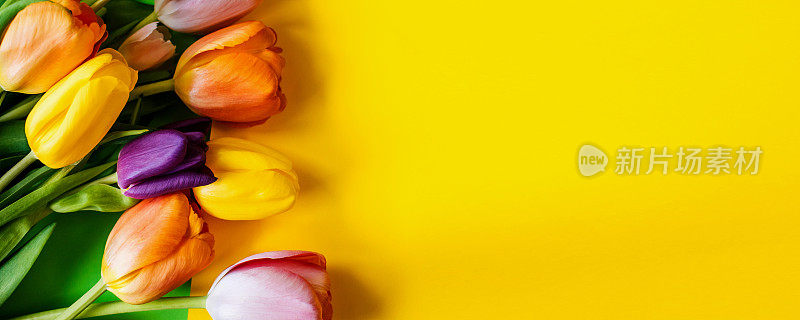 黄色背景上的彩色郁金香。顶视图和空间的副本。横宽照片字幕，封面。copy-space