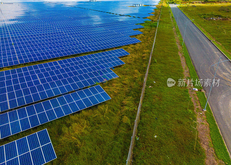 太阳能农场的太阳能电池板(太阳能电池)的俯视图，绿树和阳光反射。农村的光伏工厂田地，蓝天。